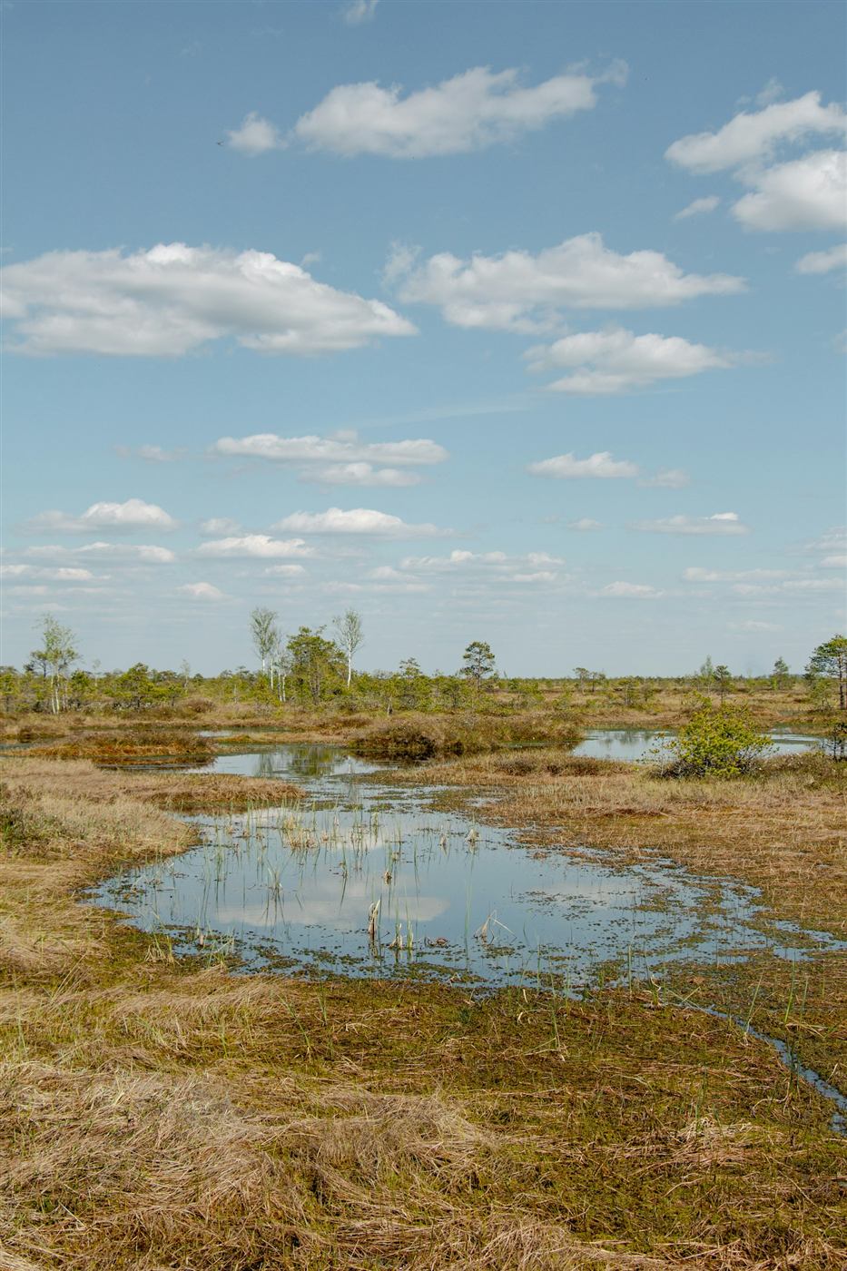 Open pond on rural land after excavation and land improvement